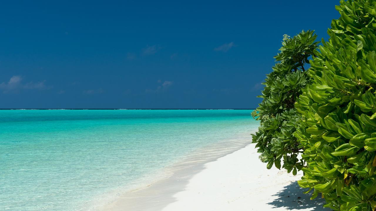 Thoddoo Beach Holiday Екстериор снимка