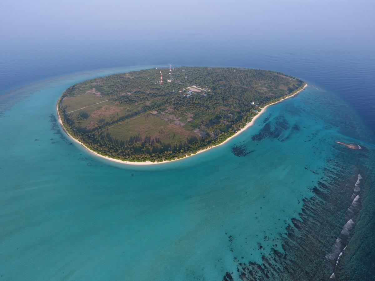 Thoddoo Beach Holiday Екстериор снимка
