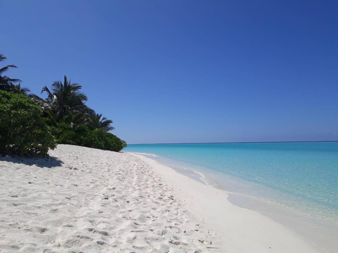 Thoddoo Beach Holiday Екстериор снимка