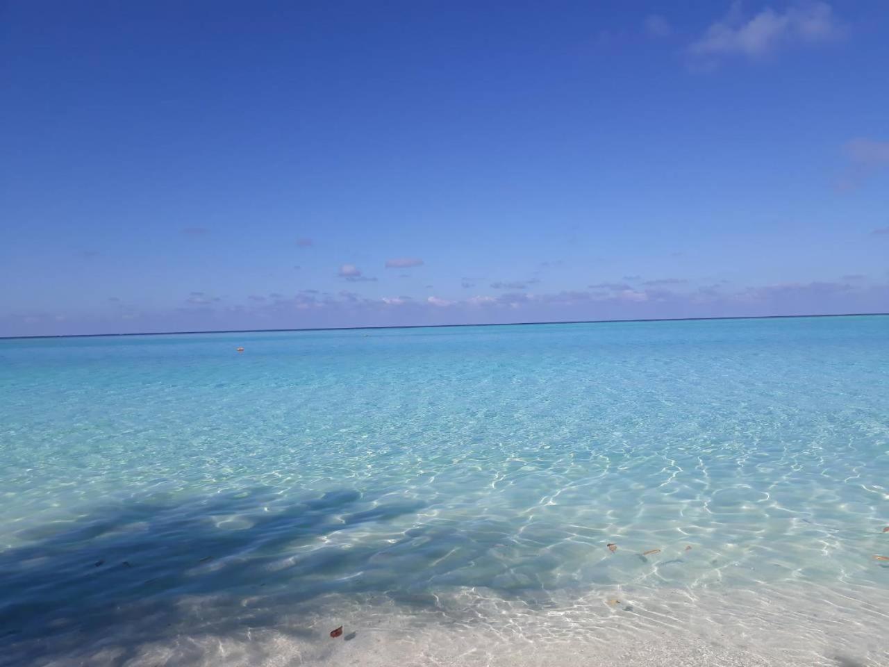 Thoddoo Beach Holiday Екстериор снимка