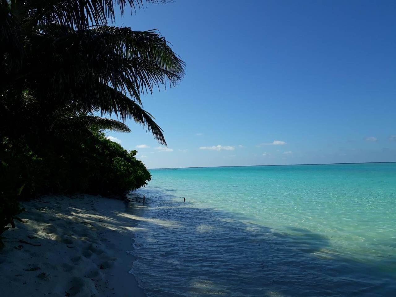 Thoddoo Beach Holiday Екстериор снимка